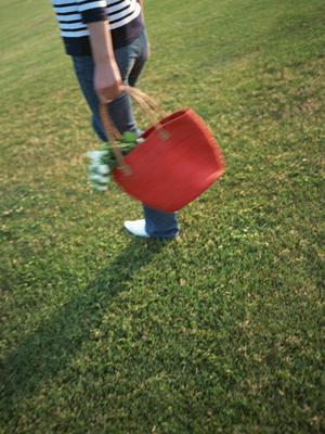 おしゃれで機能的！完全遮光日傘の選び方とおすすめアイテムガイド